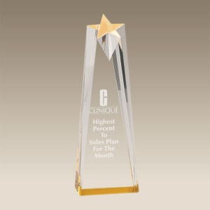 AST - AST | Acrylic Sculpted Star Award