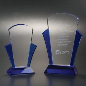 NEV58 Crystal Envy Award
