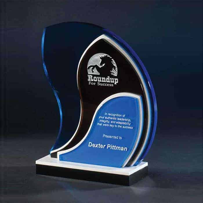 NFTS911 Fluctus Award NFTS911 Fluctus Award