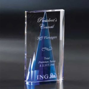 NSAV408 Crystal Savanna Award