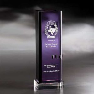 WSCD411 Crystal Ciudad Award
