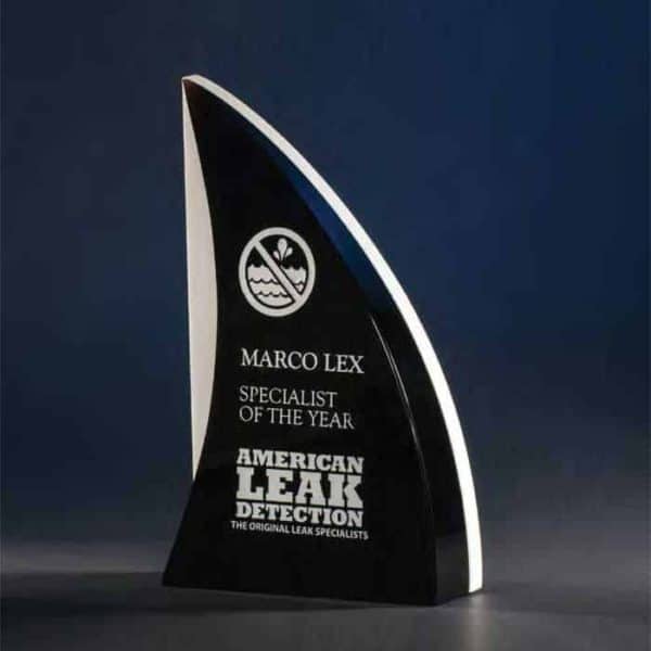 WSKF509 Crystal Shark's Fin Award
